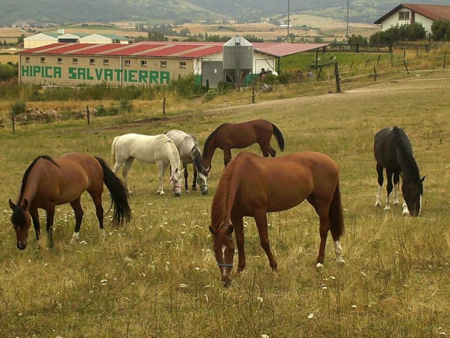 Hípica Agurain